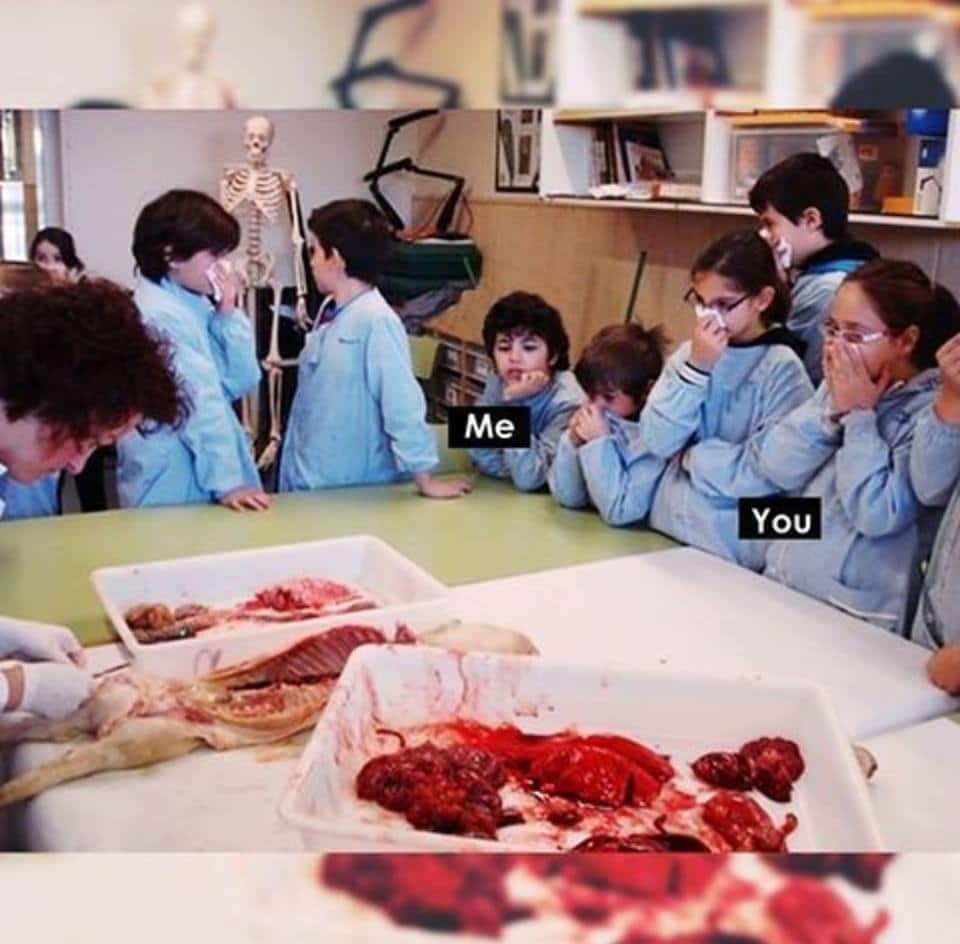 Crianças estudando Medicina